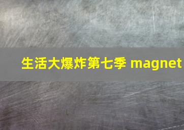 生活大爆炸第七季 magnet